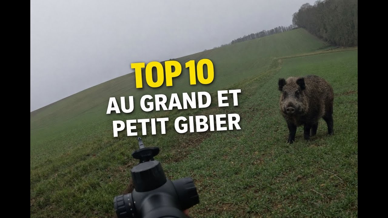 Top 10 au grand gibier et petit gibier !!!