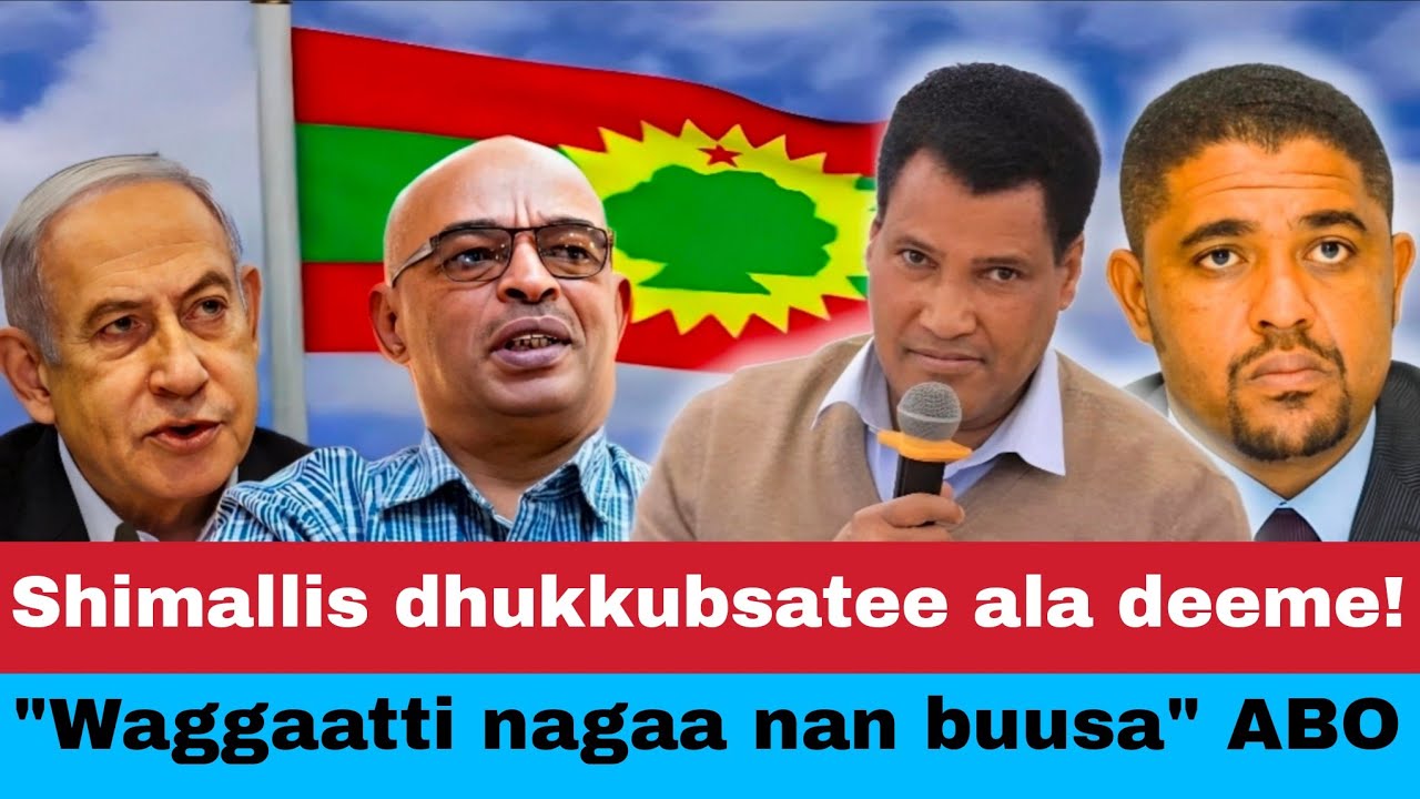 Oduu: Shimmallis dhukkubsatee yaalaaf ala deeme! ABO'n nagaan buusa jedhe