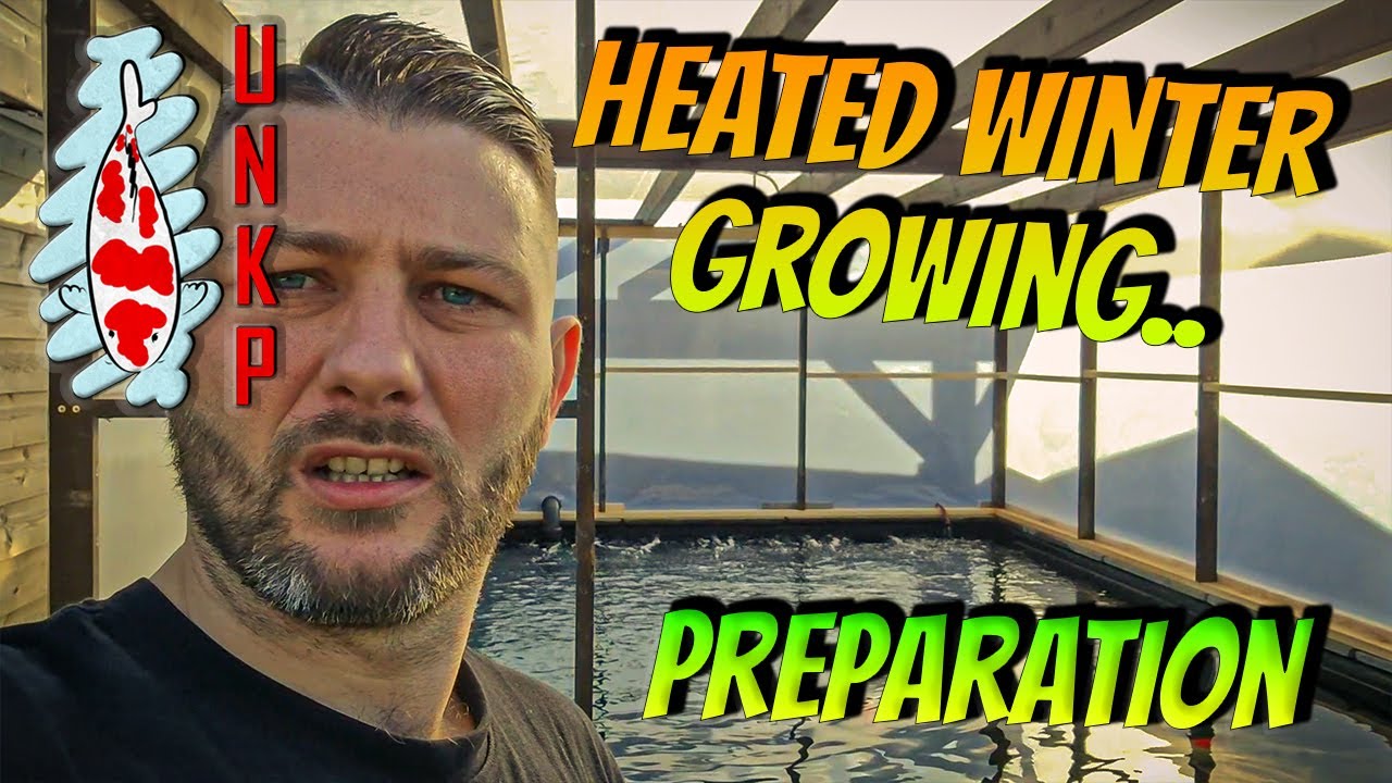 Koi Pond Heating Hack: My DIY Winter Solution