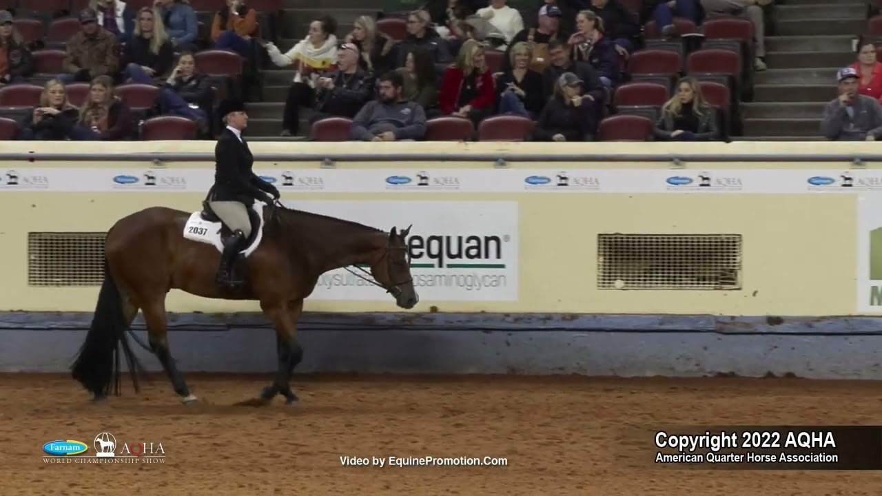 2022 Farnam AQHA and Adequan Select World Select Hunter Under Saddle