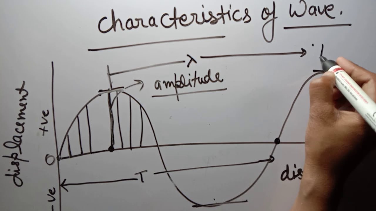 characteristics of wave  wavelength  sound class 9
