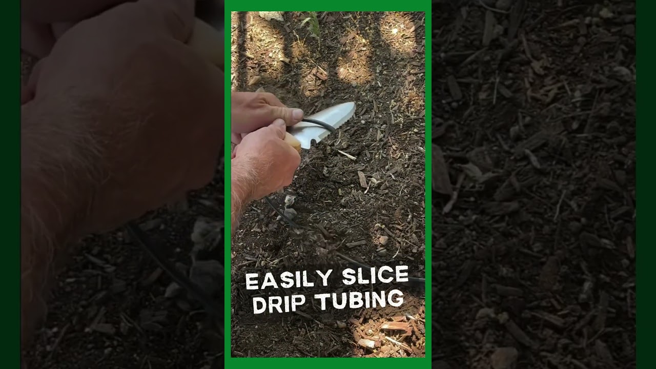 Gardening Tip: Hori Hori Use #728 Drip Tubing  #gardeningadvice #gardeningtips #garden