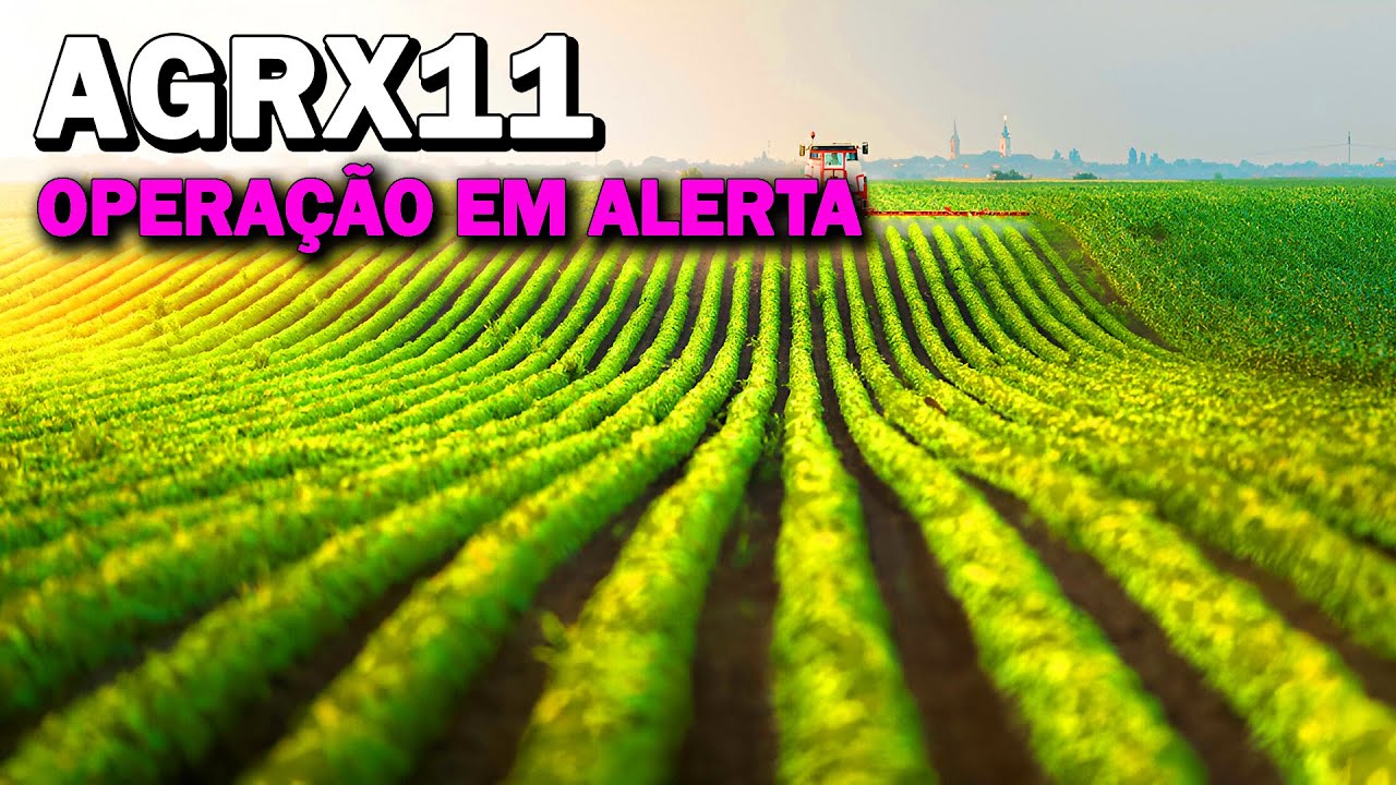 AGRX11, EXPECTATIVAS DE DIVIDENDOS, RISCOS, SITUA&Ccedil;&Atilde;O ATUAL