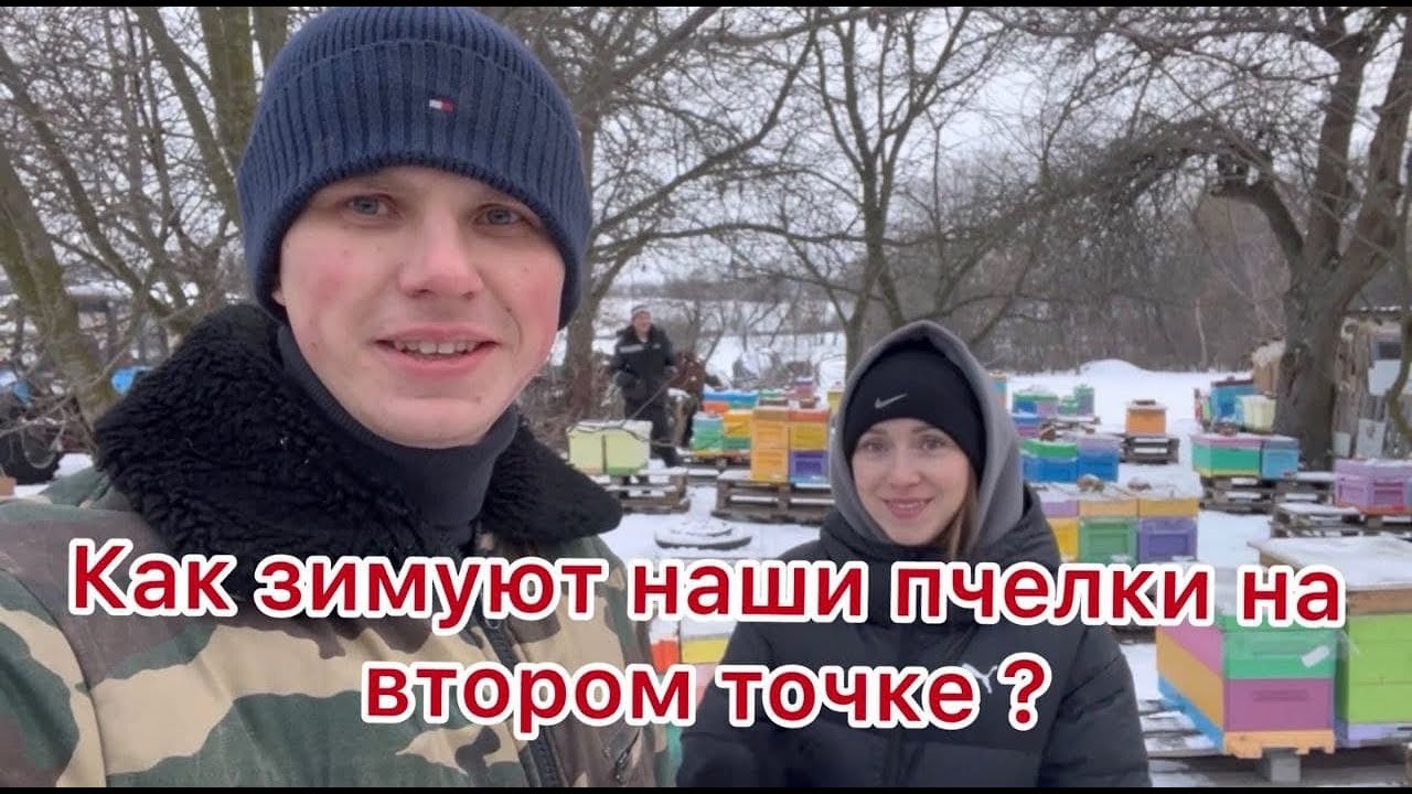 Как зимуют наши пчёлы на 2 ром точке ?