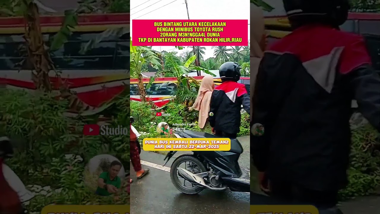 #busbintangutara #busbintangutaraputra #bussumatera #busindonesia #automobile #bissumatera