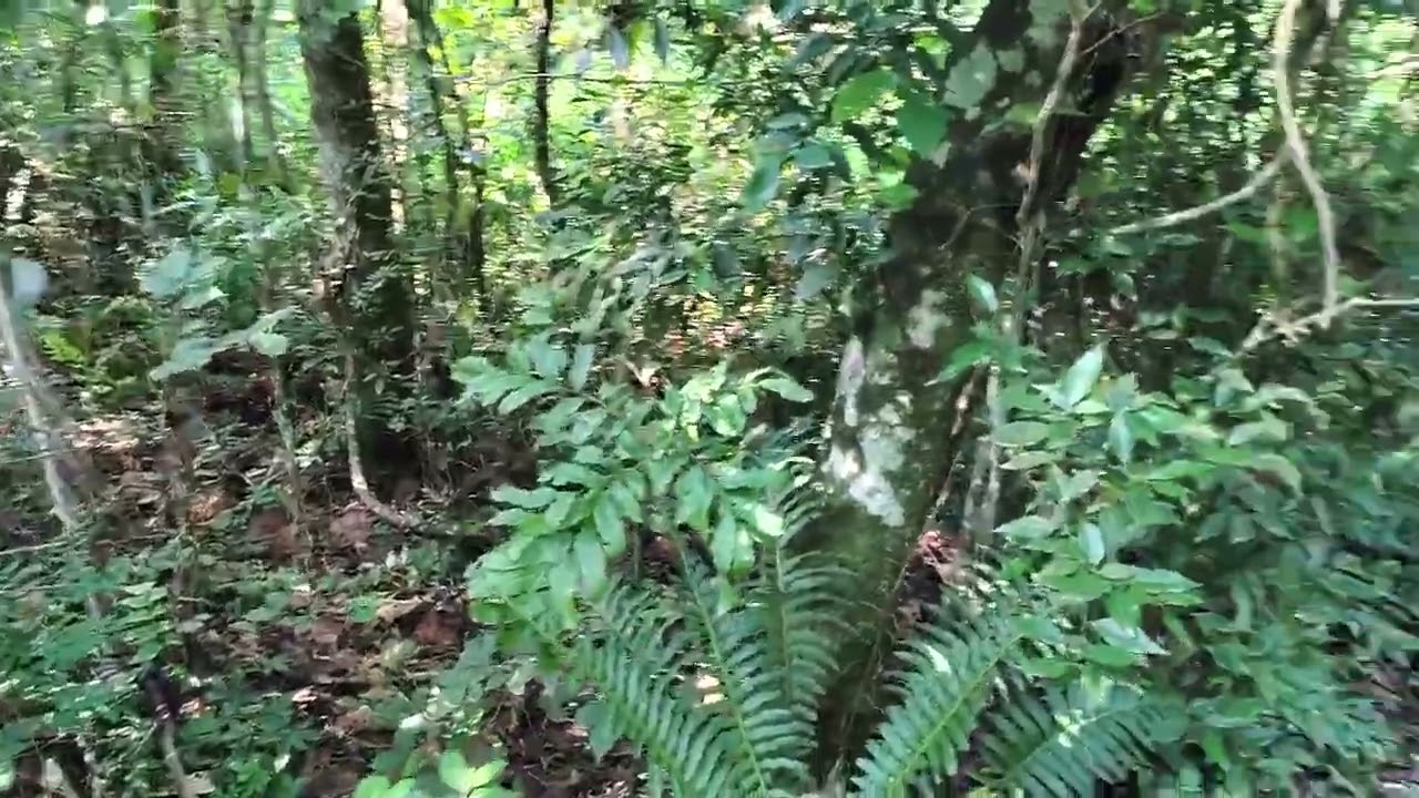 11 de janeiro de 2026