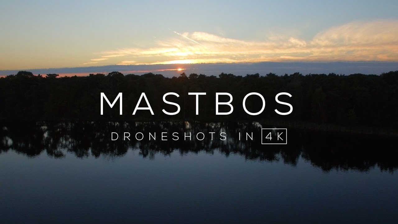 Mastbos Breda in 4K | Drone video