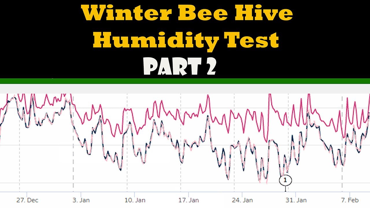 Winter Bee Hive Humidity Test Part 2