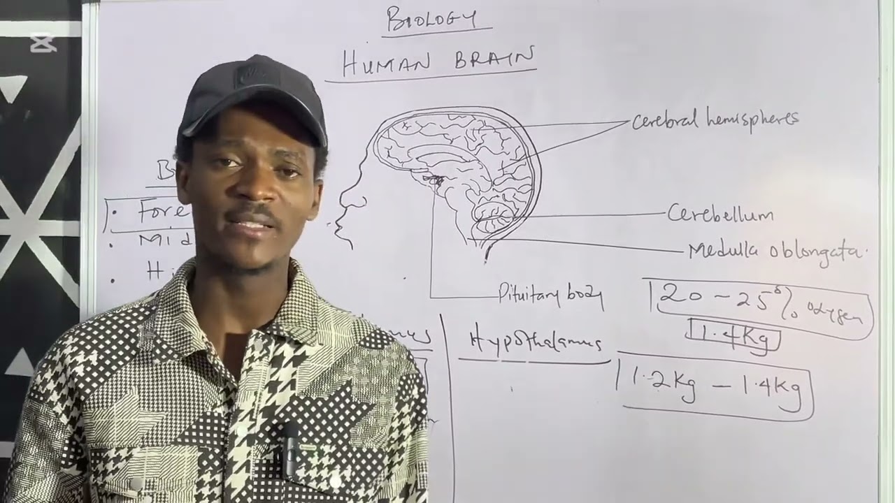 Biology Class on Nervous System (BRAIN) for JAMB & WAEC STUDENTS #education #jamb #biology
