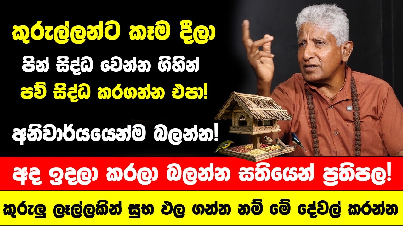 පින් සිද්ධ වෙන්න ගිහින් පව් සිද්ධ කරගන්න එපා! කුරුලු ලෑල්ලේ භයානක ඇත්ත