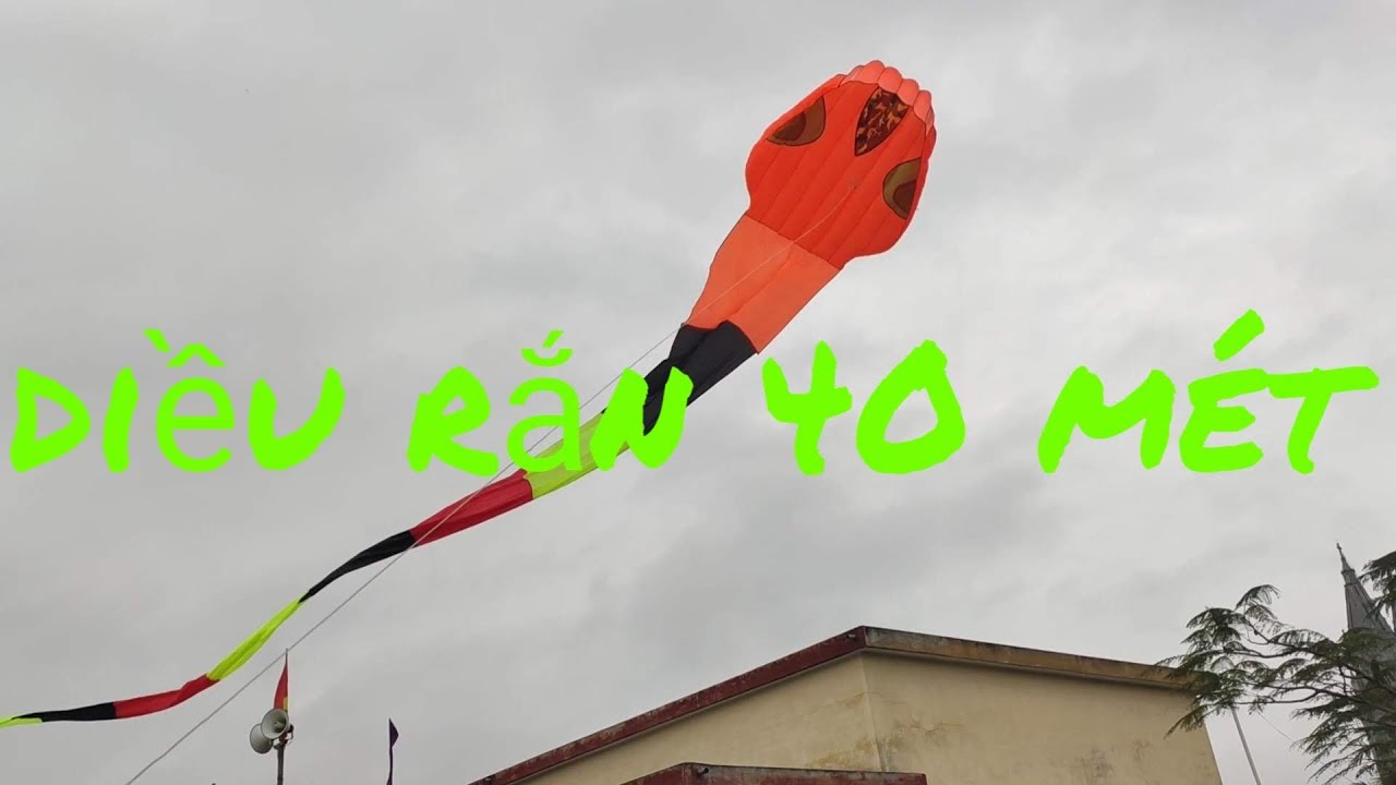 Thả Diều Rắn Khổng Lồ 40 Mét Cực Đẹp - Giant snake kite flying nguyenvanhuyvlog