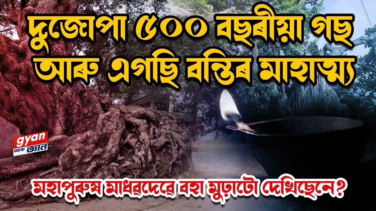 দুজোপা ৫০০ বছৰীয়া গছ আৰু এগছি বন্তিৰ মাহাত্ম্য