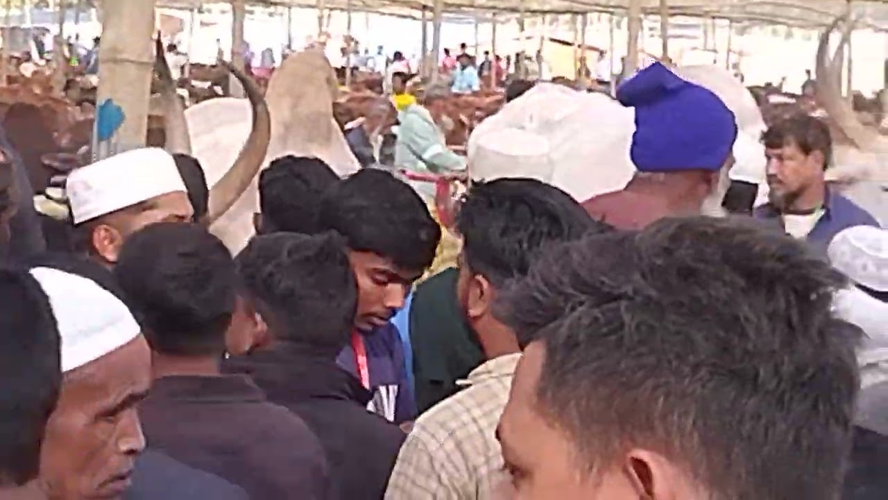 গরুর মাঠ ওরশ শরীফ ২০২৬ইং বিশ্ব জাকের মঞ্জিল