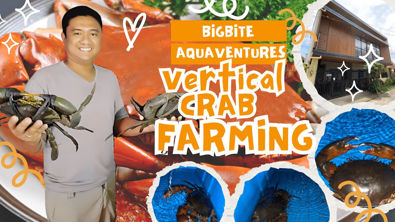 Davao City Vertical Crab Farm