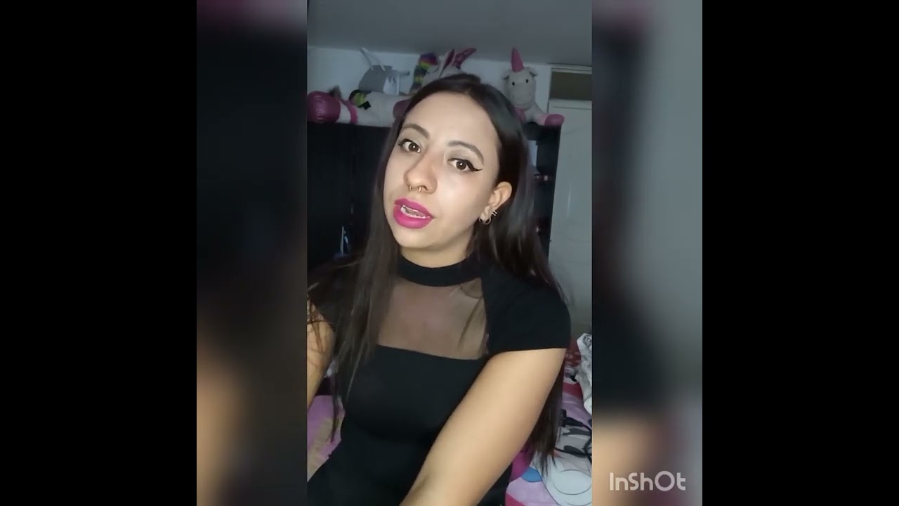 resumen la chica invisible