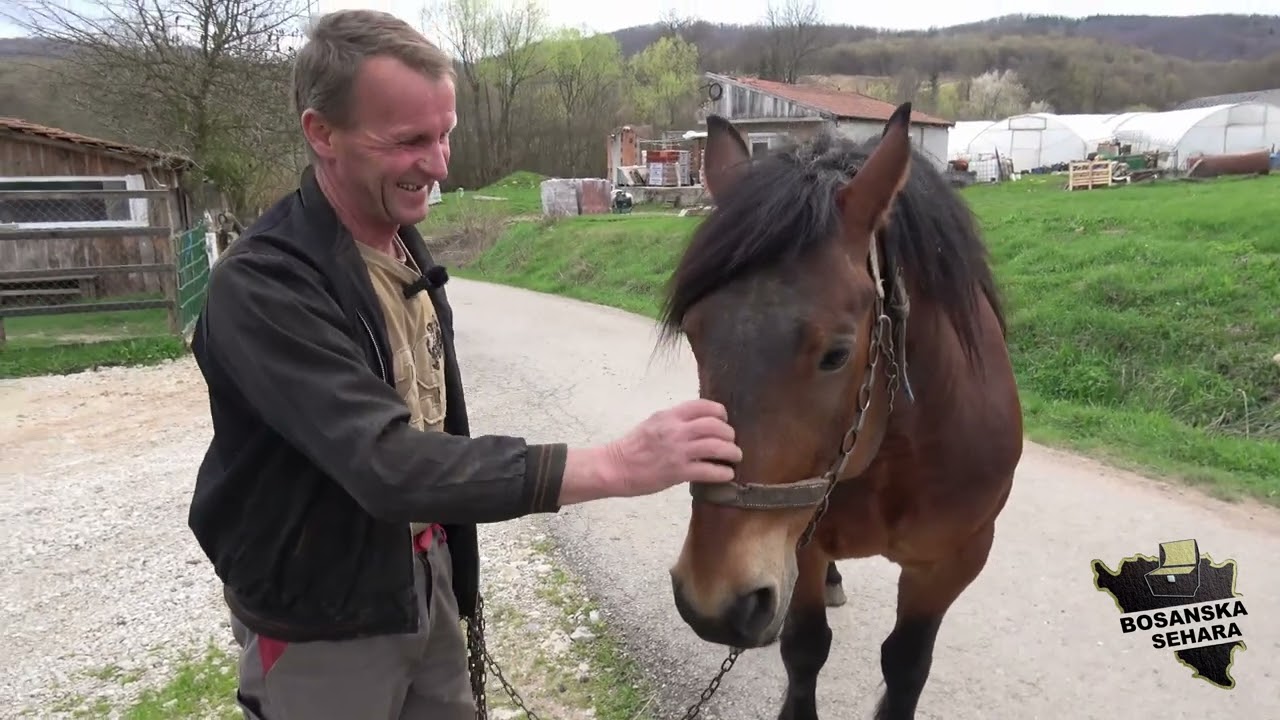 Ostari se,sad treba naći ženu što ima dijete i eto porodice