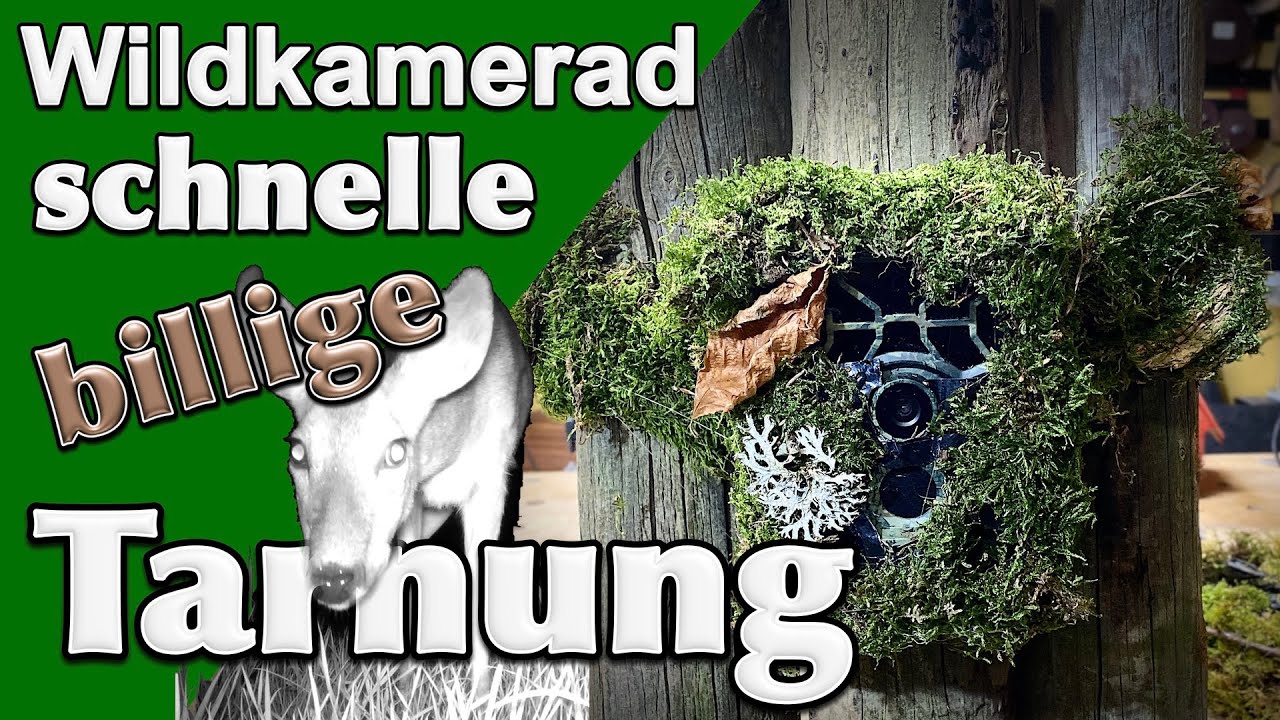 Schnelle billige Tarnung für die Wildkamera - quick and cheap camo for the trail cam