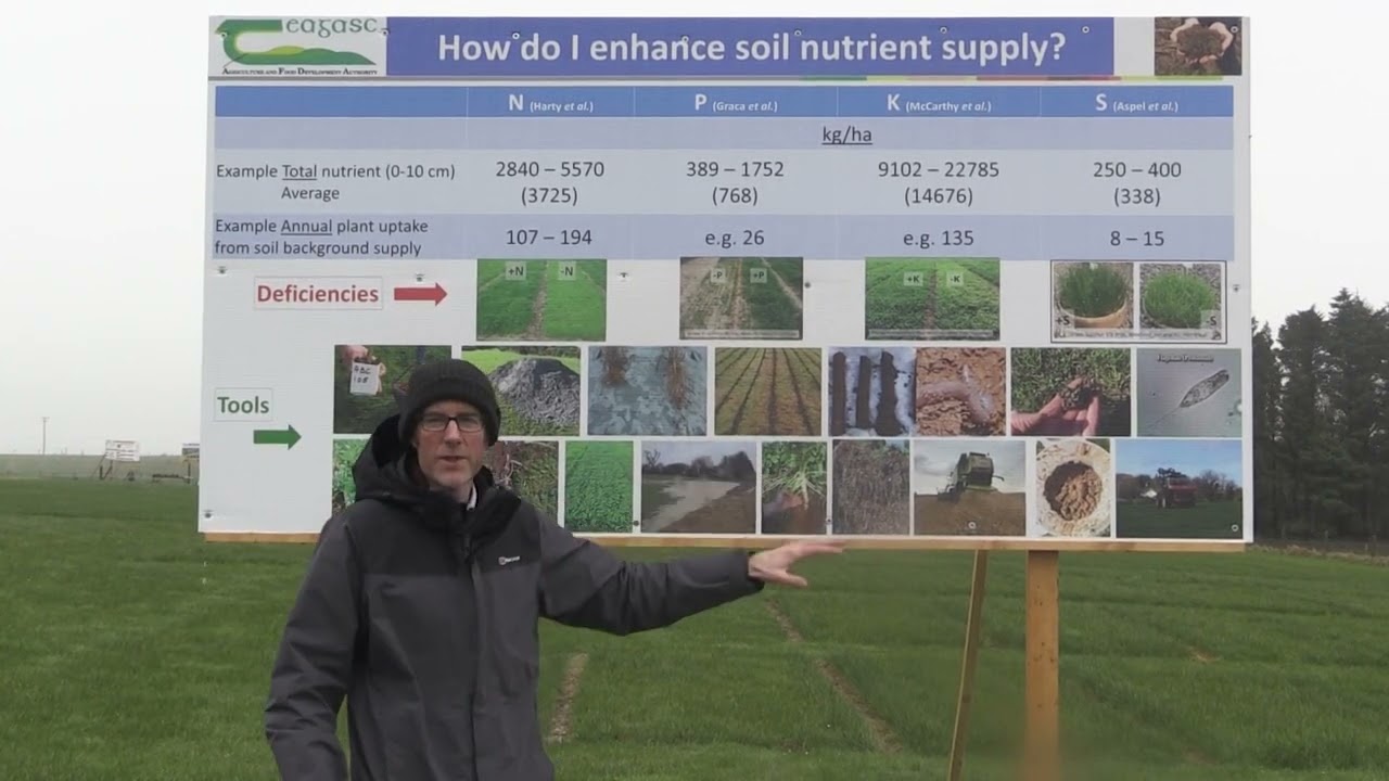 How do I enhance soil nutrient supply? with Patrick Forrestal, Johnstown Castle Open Day