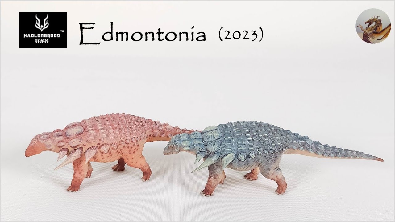 254: Haolonggood (好龙谷) Edmontonia Review