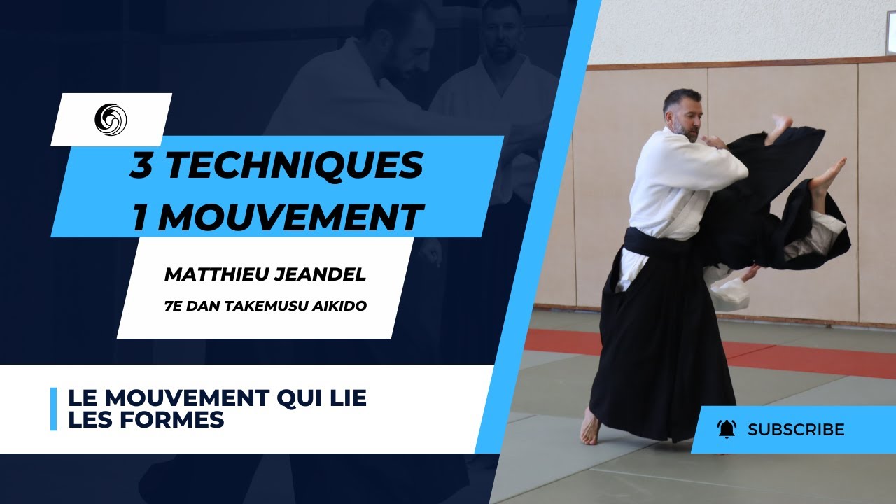 3 Techniques = 1 Mouvement - Matthieu Jeandel - 7e Dan Takemusu Aikido