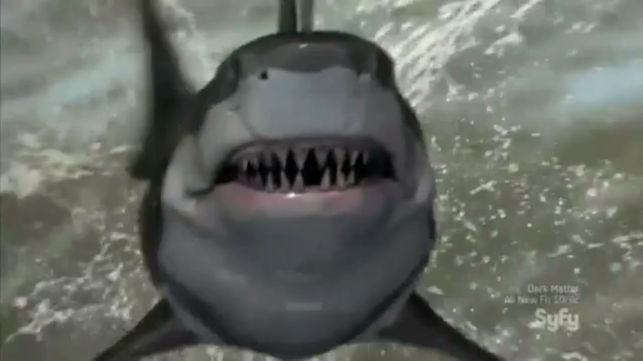 Zombie Shark Custom Sound Effects