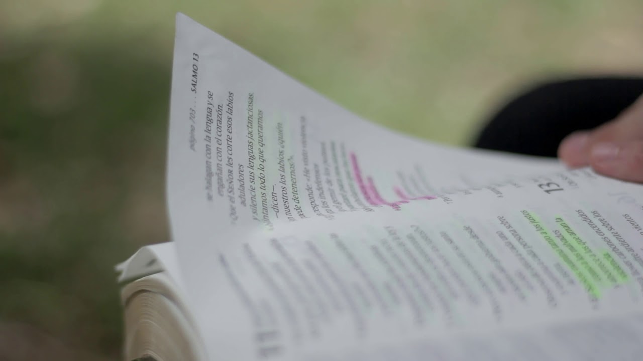 Hojeando BIBLIA/LIBRO - VIDEOS GRATIS