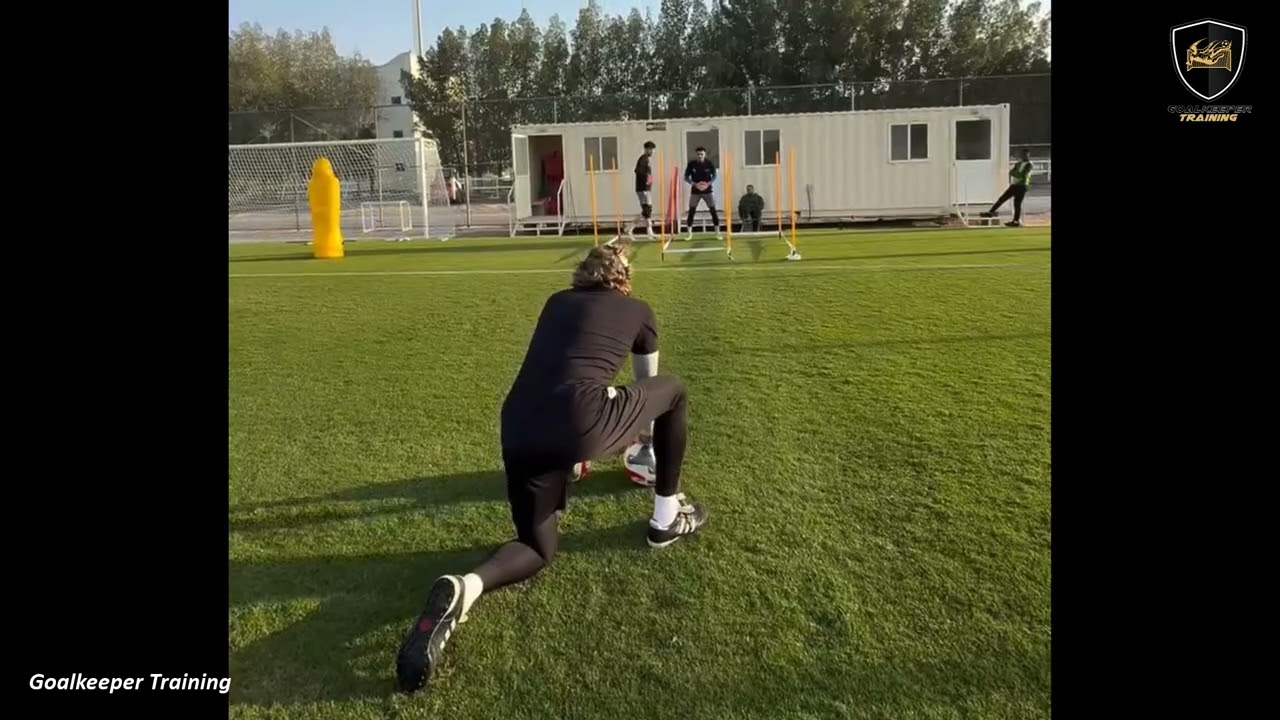 Professional Goalkeeper Training