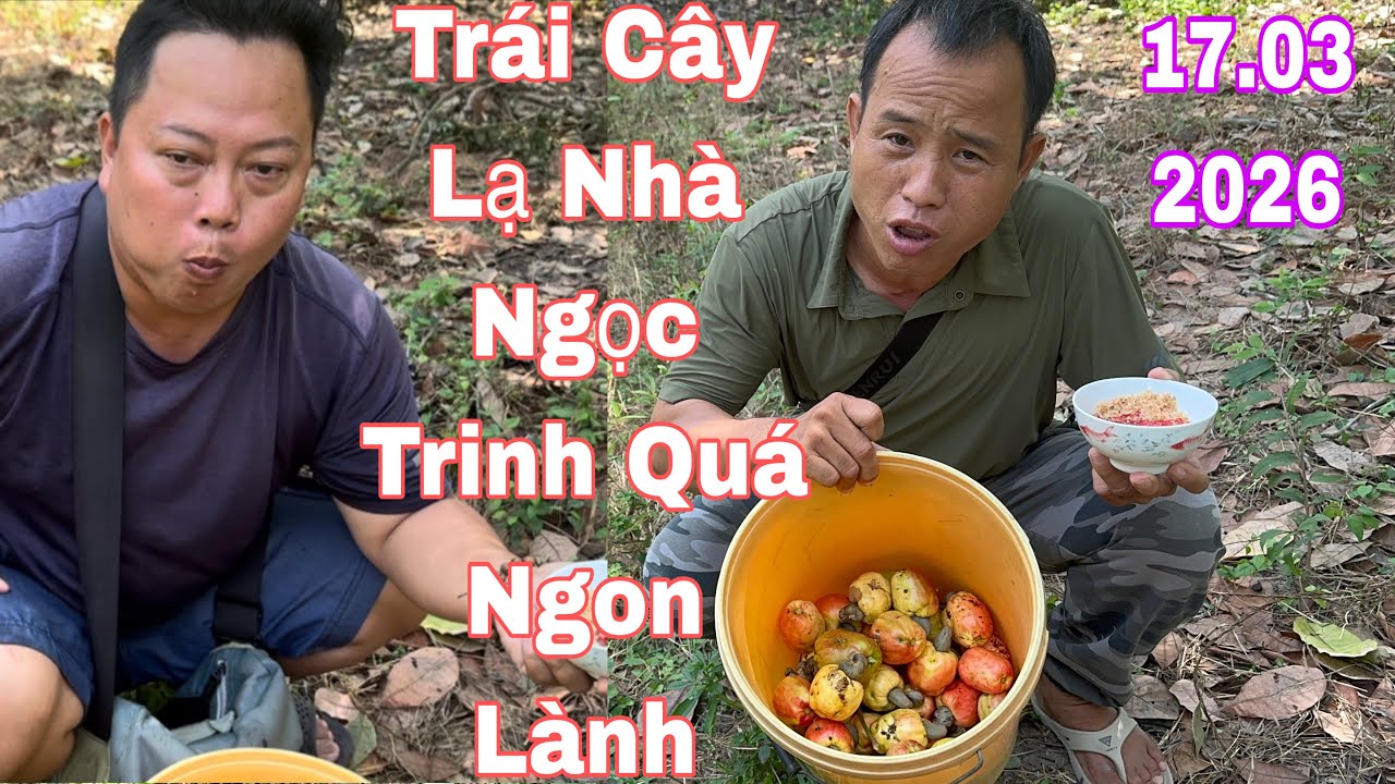 Lụm Được Trái Cây Lạ Nhà Ngọc Trinh Quá Ngon #food #amthuc #giadinh #yeucuocsong 