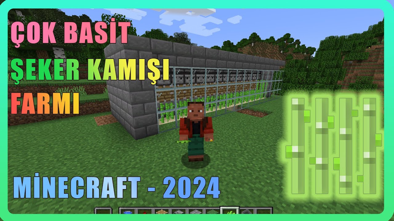 Çok Basit Şeker Kamışı Farmı - Minecraft 2024
