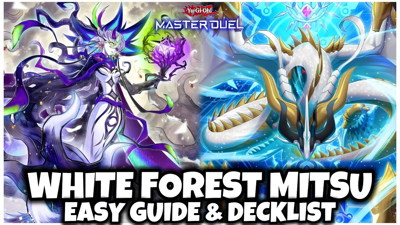 11+ DISRUPTIONS | WHITE FOREST MITSURUGI | EASY GUIDE!