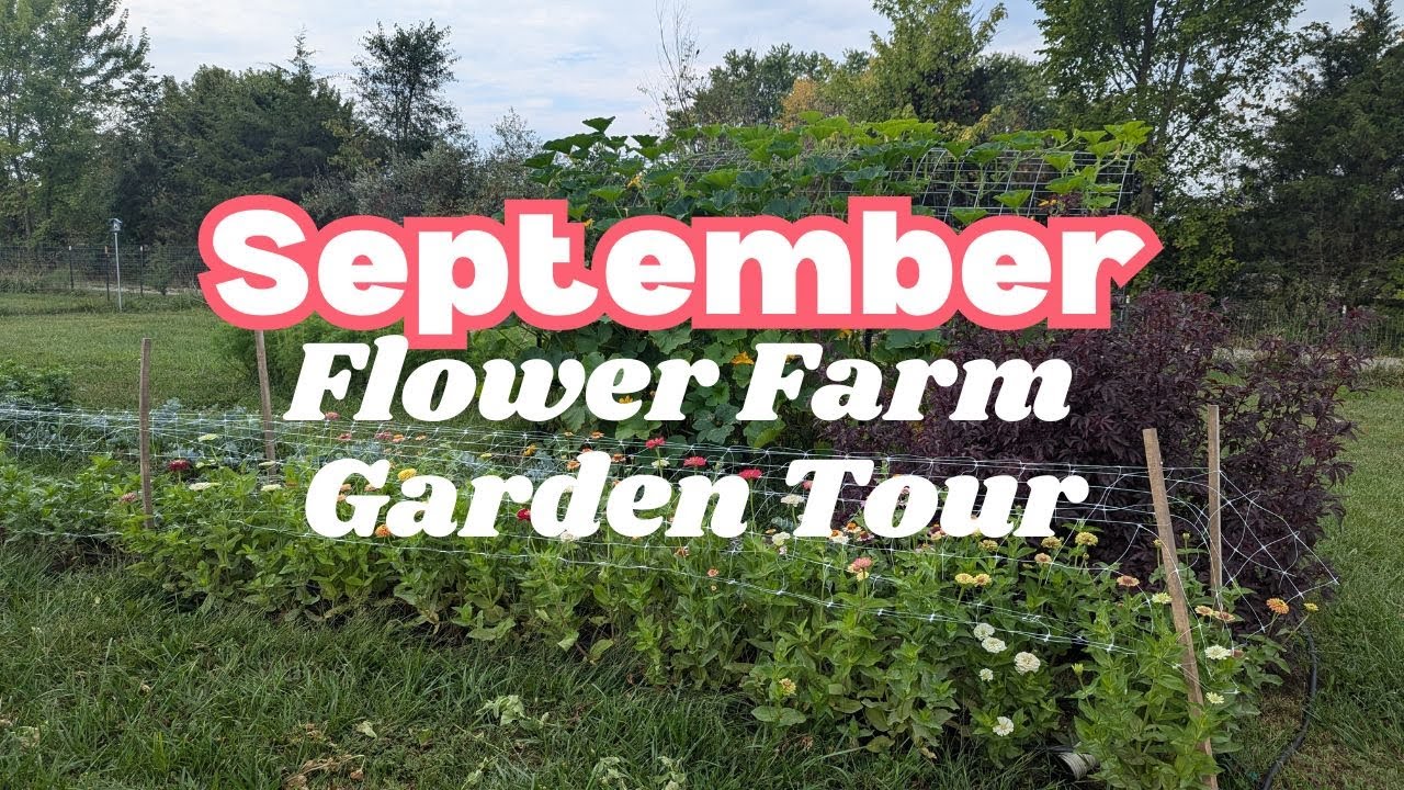 September Flower Farm Garden Tour (Music Only)