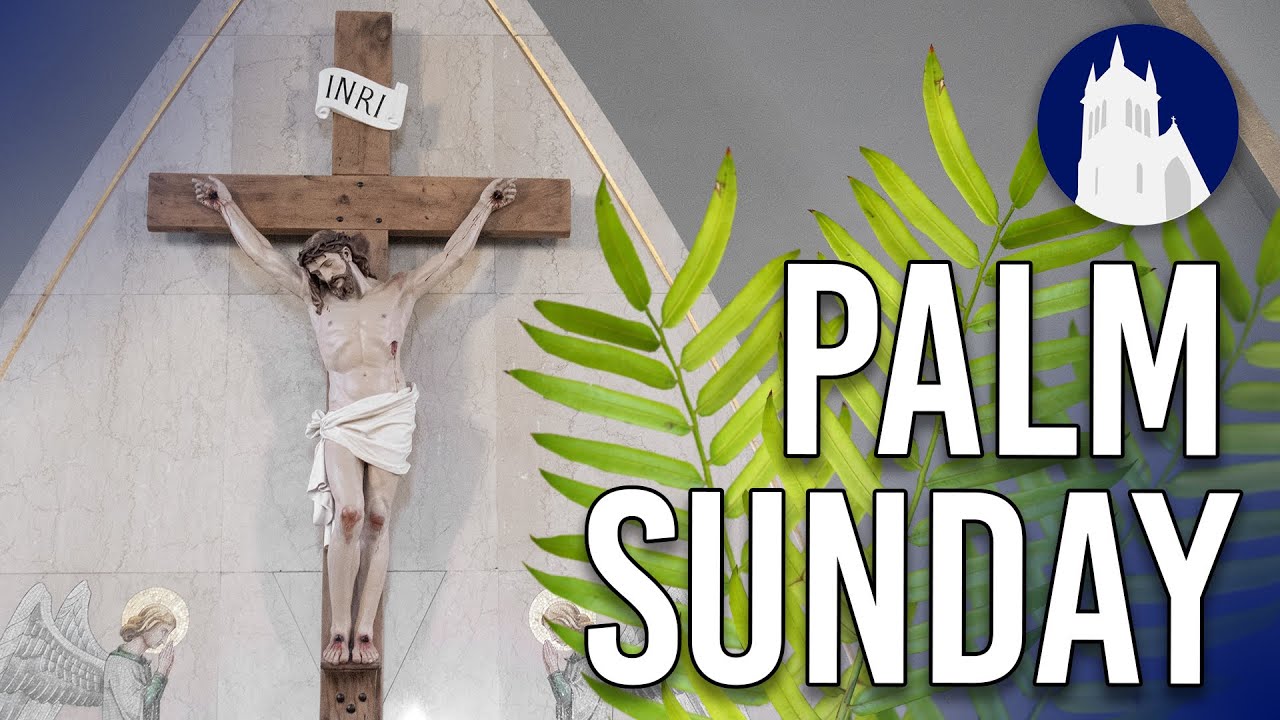 Palm Sunday Mass LIVE at St. Mary’s | April 13, 2025