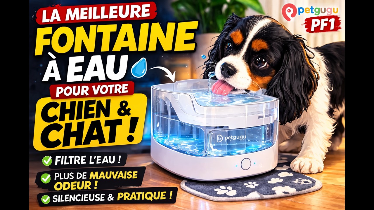 Petgugu PF1, la fontaine à eau intelligente qui suit l’hydratation de votre chien ou chat