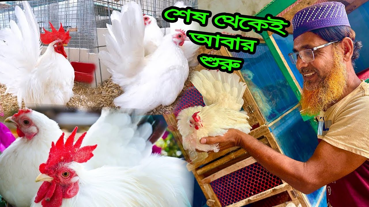 পরীর সেই বা'চ্চা গুলা মাশা_আল্লাহ অনেক বড় হয়ে গেছে 🧡💙