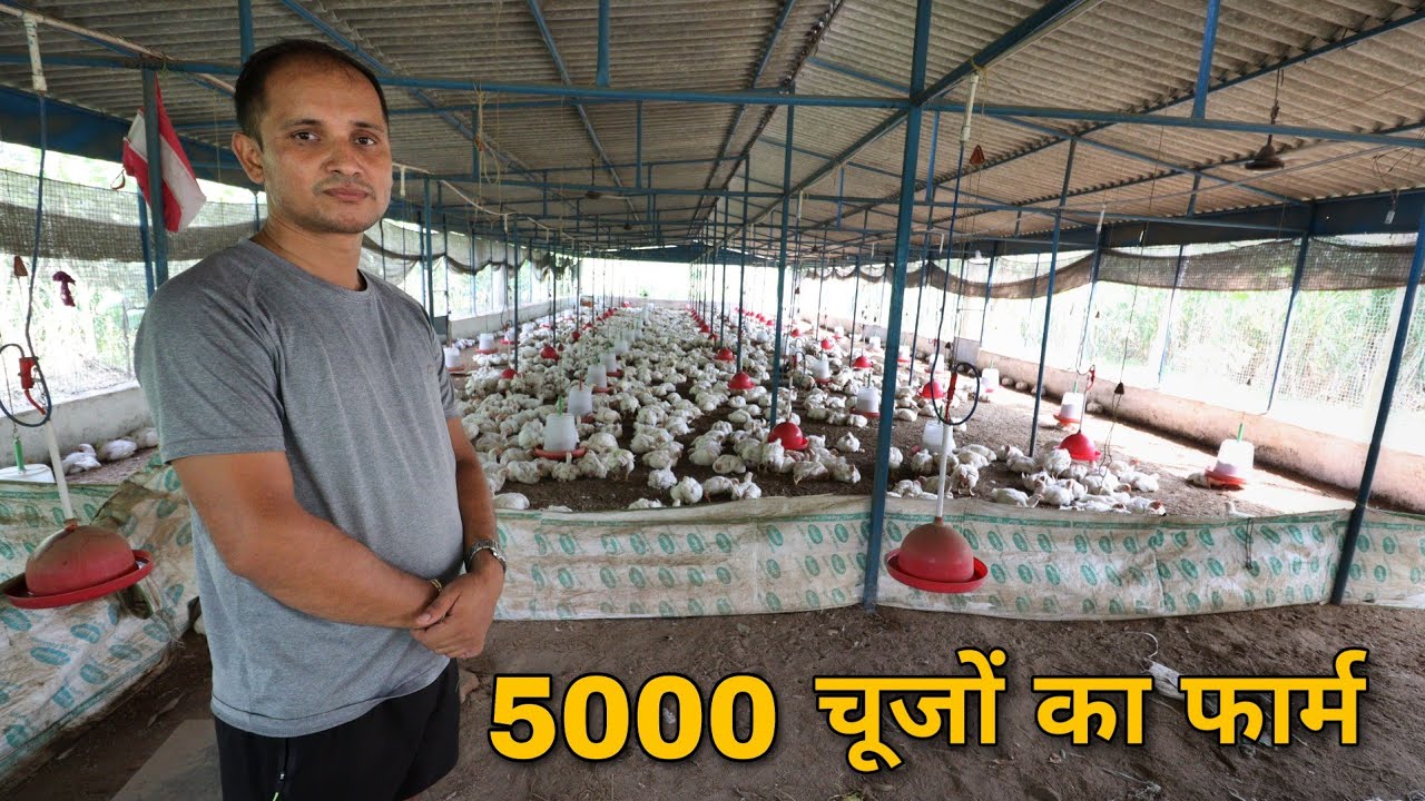 5000 chicks poultry farm of an Indian farmer