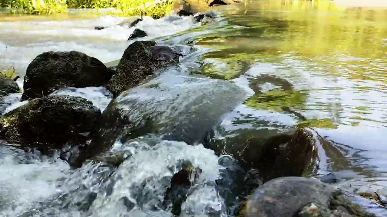 Relaxing River 🌊 Natural Sound Therapy 🌿 - 2K HDR 60FPS