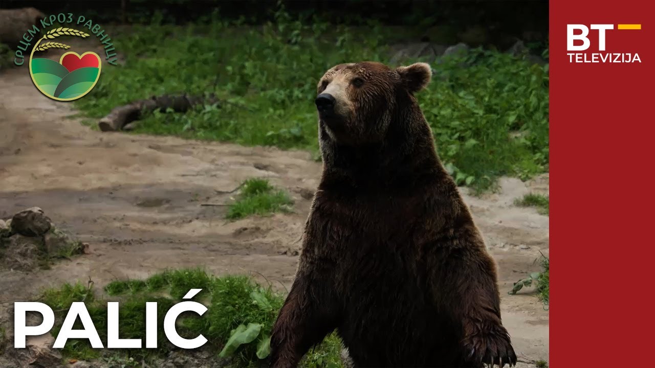EMISIJA   SRCEM KROZ RAVNICU   S03 EP25    PALIC  Balkantrip TV
