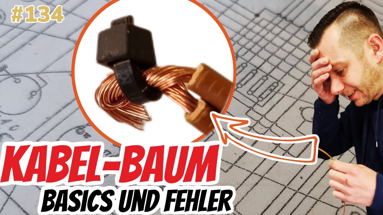 Elektrik Grundlagen am Trecker und Fahrzeug - Macht NIE diesen FEHLER !  #STEELSTYLER #Vlog134