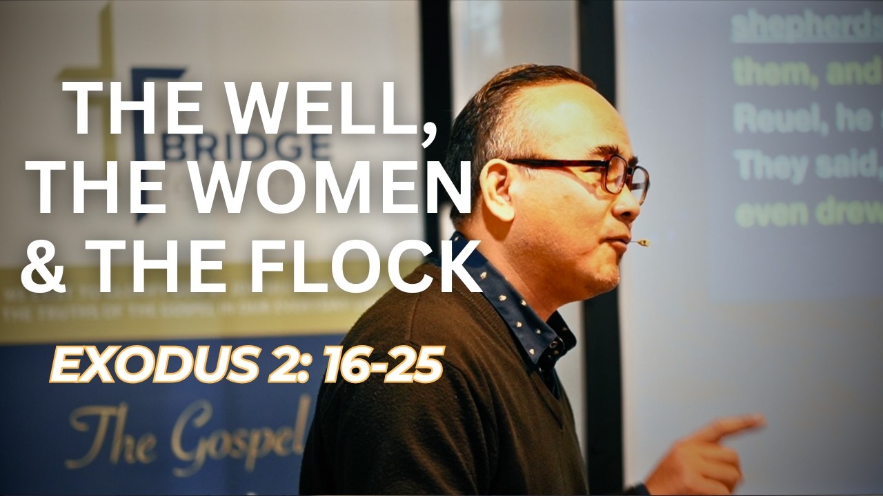 The Well The Women The Flock