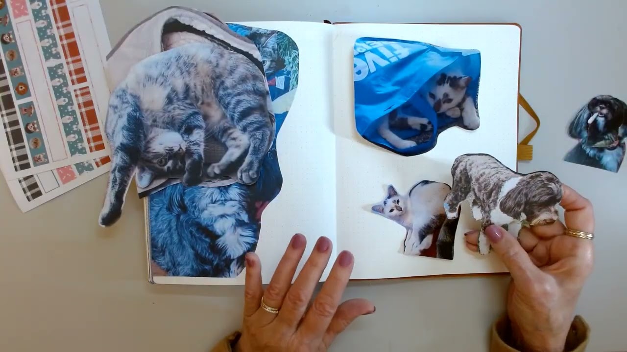 Creative Journal - National Pet Day - RongRong Dog Sticker Book - Dutch Doors