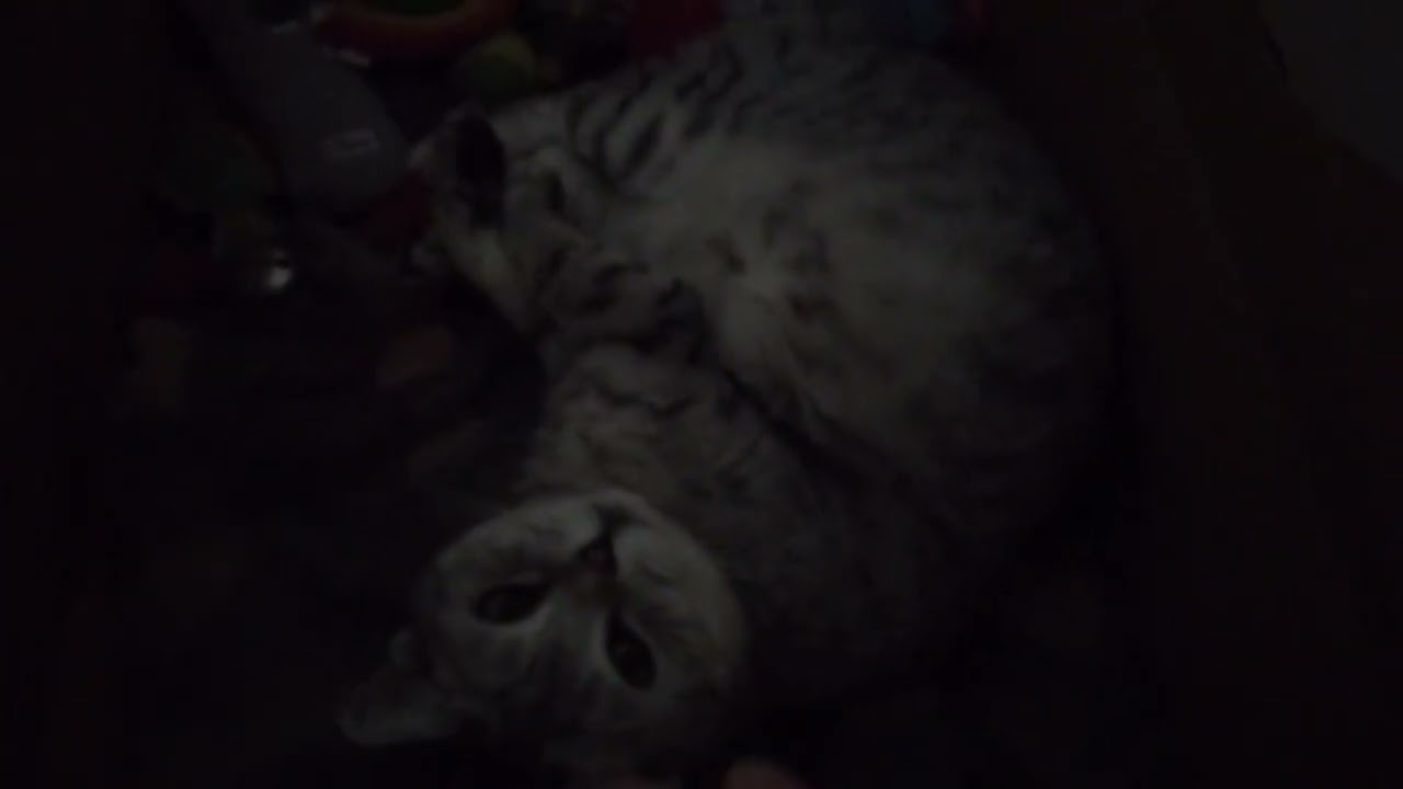 Waking her up from her nap