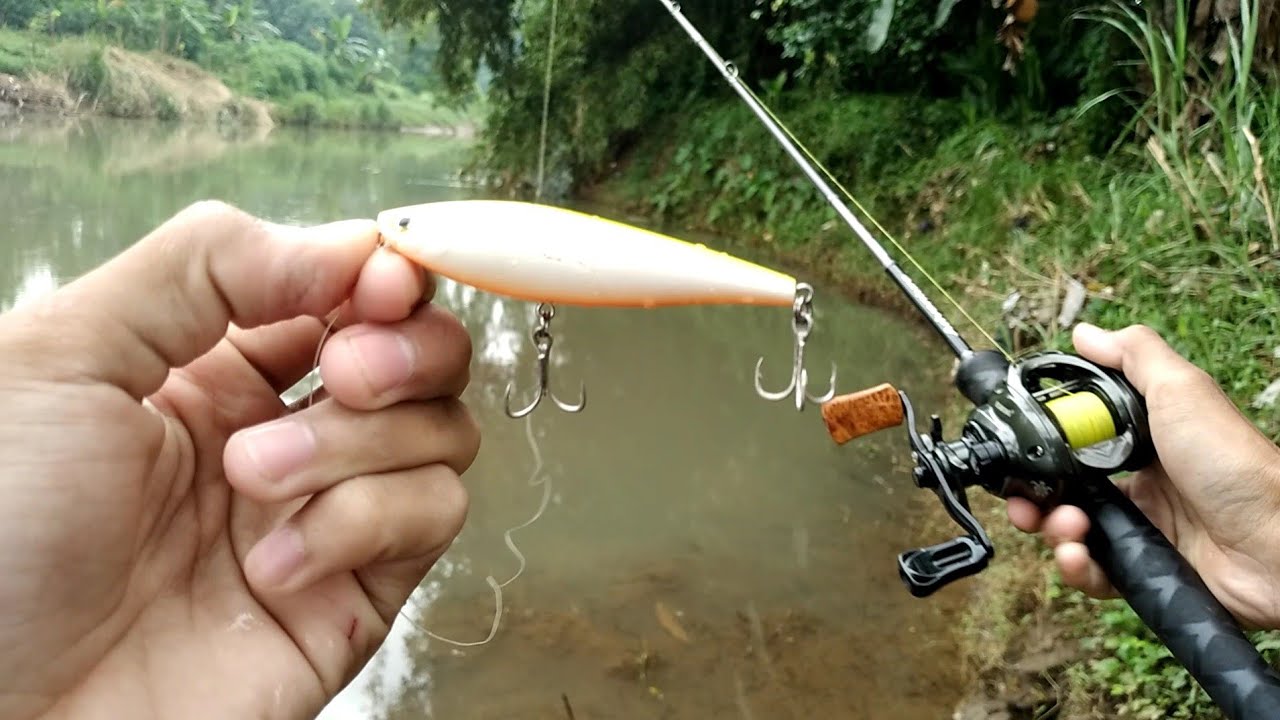 test action lure pencil wtd kyoto t-rex fatter 75f | lure casting | lure wtd | fishing