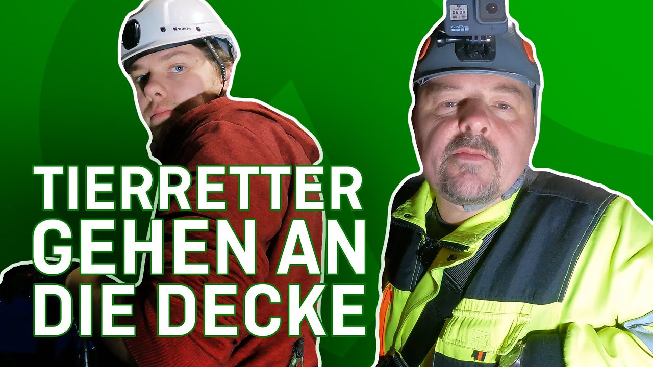 Stefan und Jannik gehen an die Decke | Tiernotruf #355