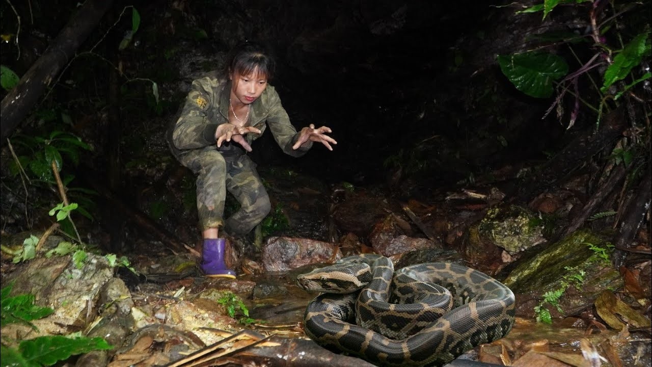 Make a trap to catch wild animals, a dangerous new place, survival alone