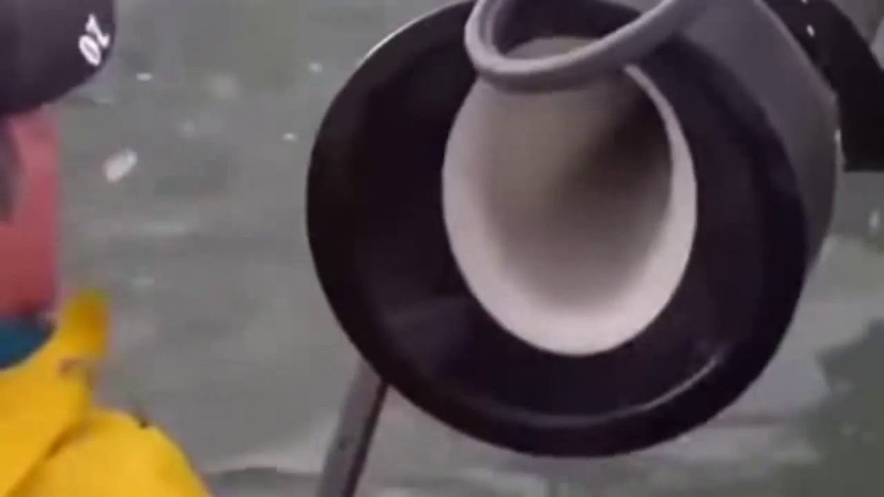Esto Explica muchas cosas 🐟 / video gracioso corto