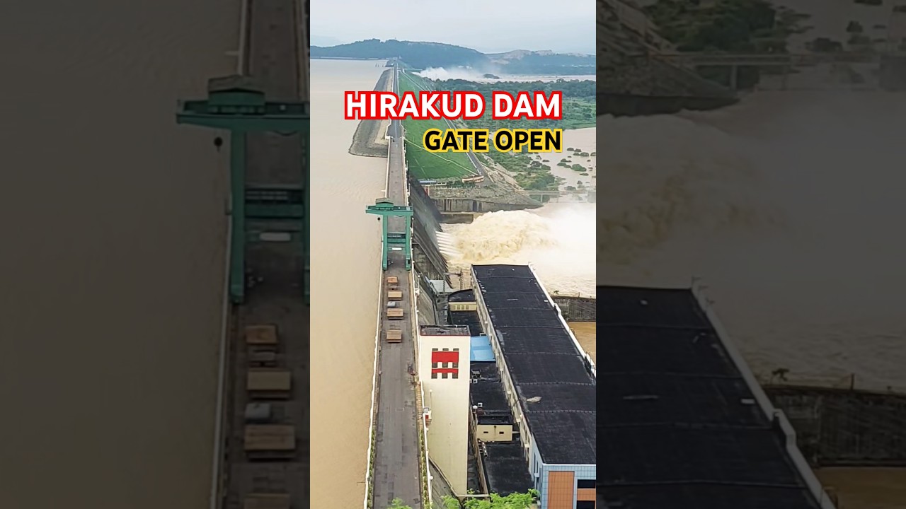 Hirakud Dam 20 Spillway Gates Open #hirakud #hirakuddam #sambalpur #odisha #spillway #open #gate