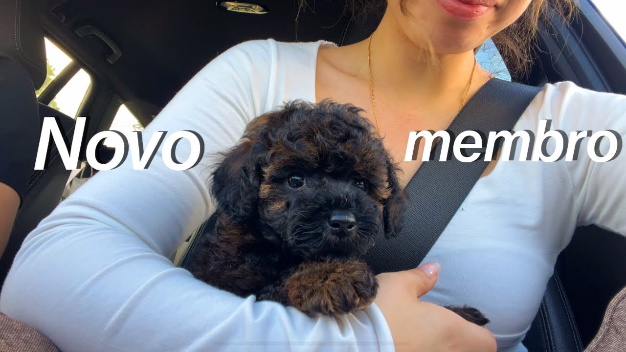 O meu primeiro cão!