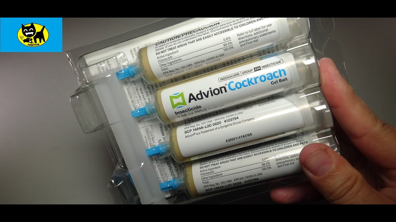 Advion Roach Bait Gel will solve your bug problem