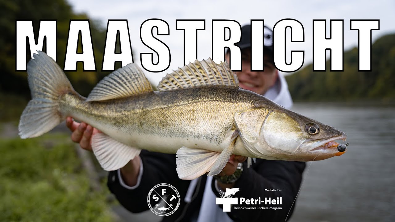 CRAZY Predator Fishing in the Netherlands / Swiss Fishing Team