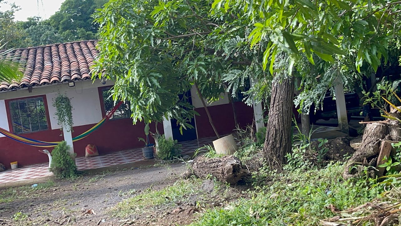 De   Usa a mi país Esta es la vida cotidiana que llevo en El Salvador  🇸🇻